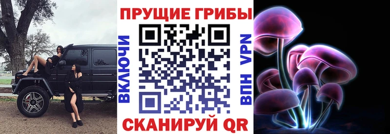 Галлюциногенные грибы Psilocybe  Верхоянск 